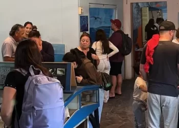 Buen arranque del año para los museos: casi 2.000 visitas en la primera quincena