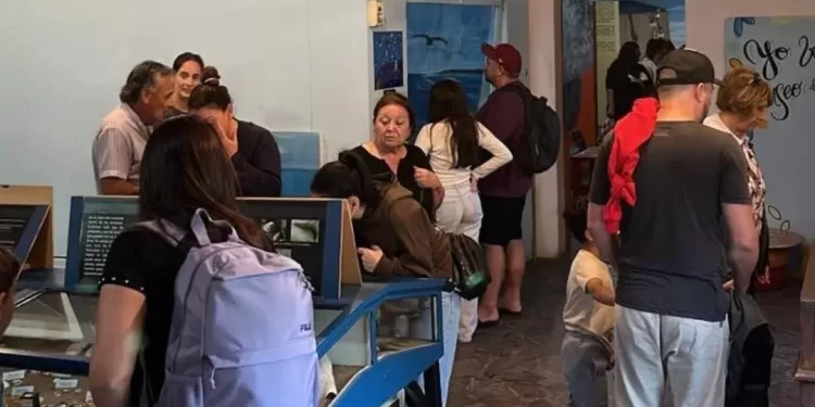 Buen arranque del año para los museos: casi 2.000 visitas en la primera quincena