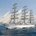 Gran expectativa: la Fragata Libertad vuelve a Mar del Plata y abrirá sus puertas al público