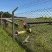 Denuncian abandono de una obra estratégica para el suministro de gas en Mar del Plata y la Costa Atlántica