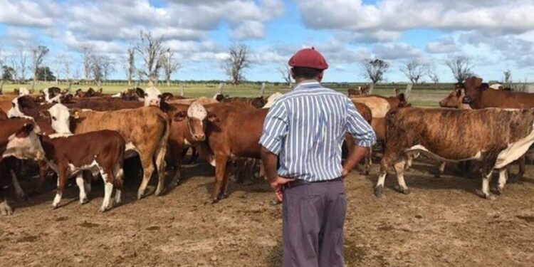 Los trabajadores rurales en 2025: entre la modernización del agro y viejos desafíos estructurales