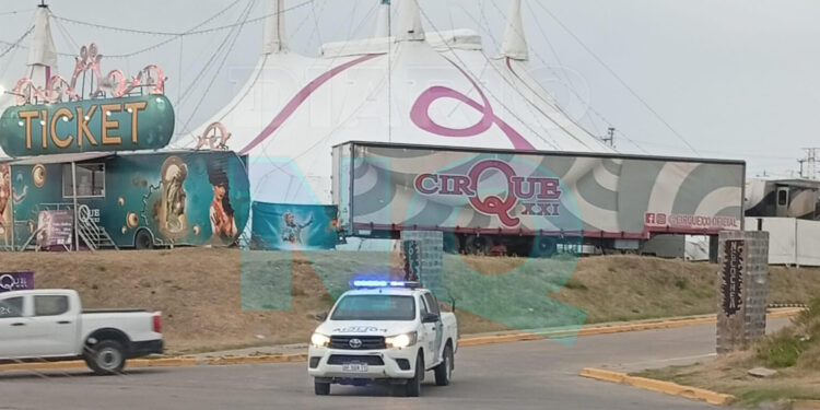 Una artista cayó desde cuatro metros durante un espectáculo y terminó en el hospital