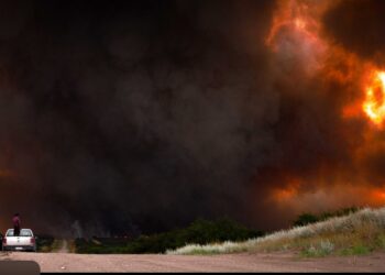 Incendios en La Pampa y Buenos Aires: con 100.000 hectáreas quemadas, CARBAP reclama créditos y obras