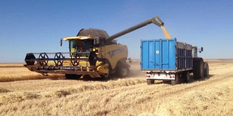 Finalizó la cosecha de cebada 2025/26 con resultados récord: fuerte aporte del sudeste bonaerense