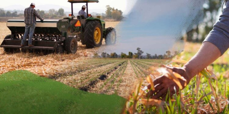 El sudeste bonaerense consolida su perfil agrícola en la campaña 2025/26