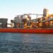 El agro sigue siendo clave: cereales y oleaginosas aportan el 36% de la carga en puertos bonaerenses