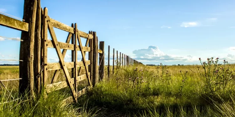 El abigeato vuelve a golpear al campo de la zona
