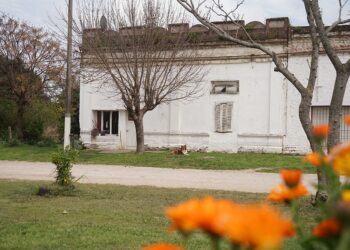 Ramón Santamarina celebra la 49° Fiesta del Girasol este fin de semana