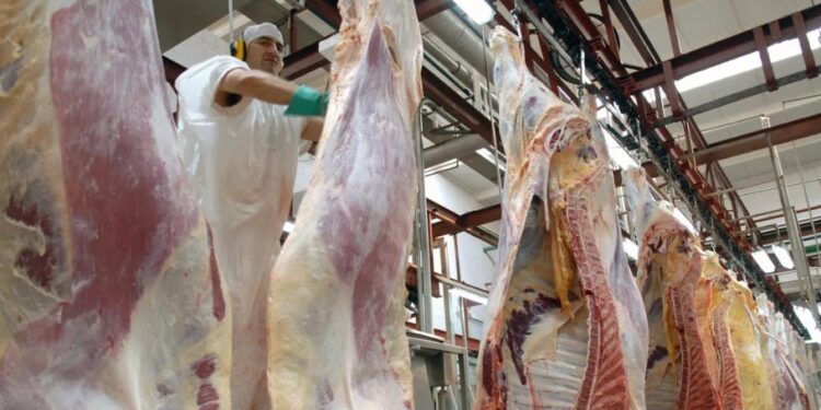 Menos faena, más retención y un mercado que se enfría