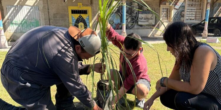 Cuidado del ambiente y jornada de forestación en talleres para personas con discapacidad