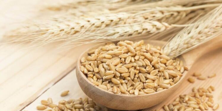 Enero récord en exportaciones: el campo respondió y el sur bonaerense fue clave