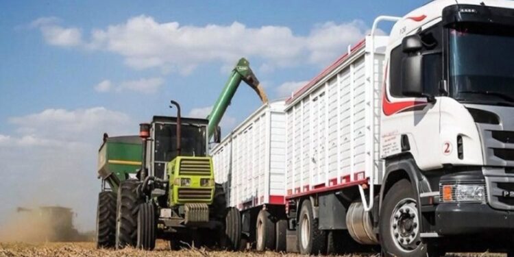 ARCA oficializó cambios en la carta de porte: nuevas exigencias para el flete corto y sanciones en el SISA