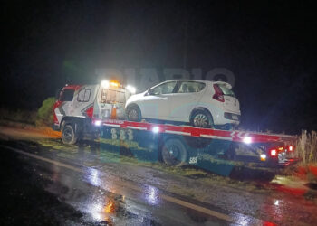 Tragedia en la Ruta 88: un hombre murió tras un choque provocado por un carpincho