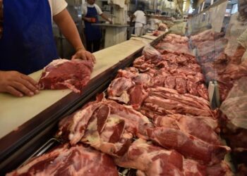 La carne vuelve a aumentar: anticipan subas de hasta 15% para marzo