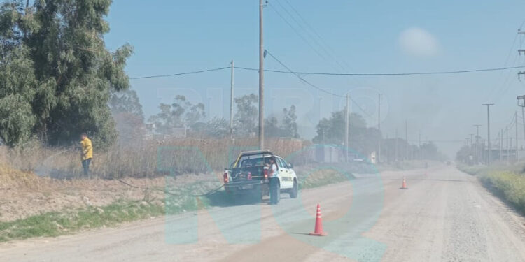 Incendio de pastizales en 91 y 48: trabajaron bomberos y Defensa Civil