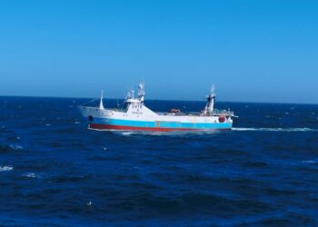 Prefectura detectó un buque pesquero extranjero en la Zona Económica Exclusiva Argentina