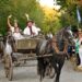 Juan N. Fernández celebra sus 117 años con dos días de festejos y espectáculos