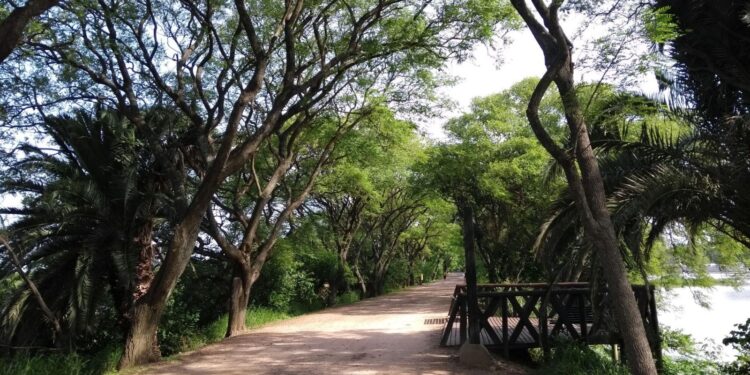 Detectaron influenza aviar H5 en la Reserva Ecológica Costanera Sur.