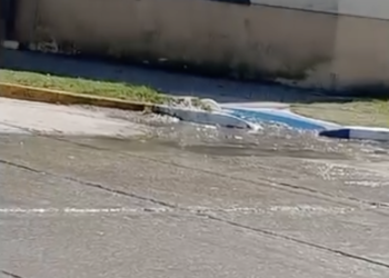 Video: reclamo vecinal por cloaca desbordada en Quequén: afecta a una escuela