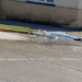Video: reclamo vecinal por cloaca desbordada en Quequén: afecta a una escuela