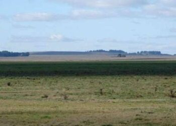 Productores rurales piden explicaciones por el destino de la tasa por hectárea en Necochea