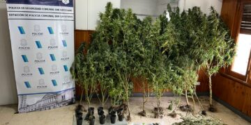 Detienen a un hombre por venta de estupefacientes tras allanamientos en San Cayetano