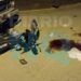 Grave accidente en Quequén: un motociclista sufrió fracturas tras chocar con una camioneta
