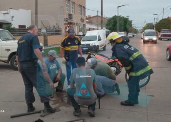 Rescate bajo la lluvia en Necochea: salvaron a un gato atrapado en una alcantarilla