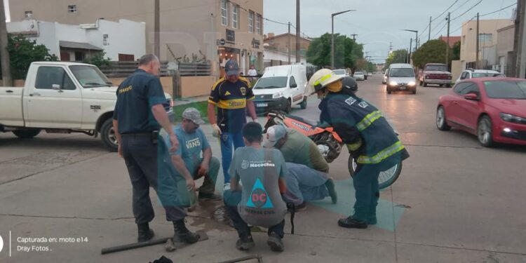 Rescate bajo la lluvia en Necochea: salvaron a un gato atrapado en una alcantarilla