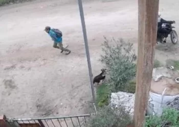 Robaron en una iglesia en plena Pascua: “Los niños oraron por los delincuentes”