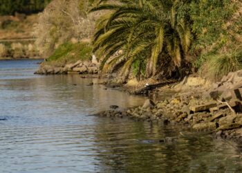 “Río Limpio”: convocan a una jornada comunitaria para cuidar la ribera