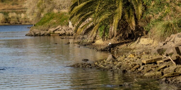 “Río Limpio”: convocan a una jornada comunitaria para cuidar la ribera