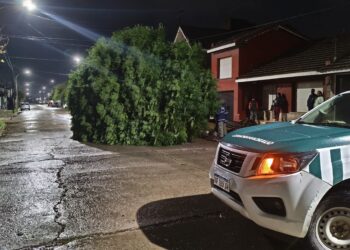 Tras el temporal, Defensa Civil realizó más de 30 intervenciones y asistió a vecinos afectados