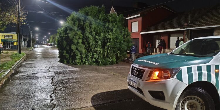 Tras el temporal, Defensa Civil realizó más de 30 intervenciones y asistió a vecinos afectados