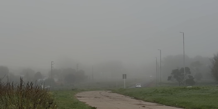 Viernes con mucha neblina en la mañana y jornada estable