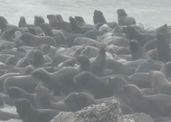 Persiste la alerta amarilla por vientos en Necochea para este lunes