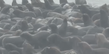 Persiste la alerta amarilla por vientos en Necochea para este lunes