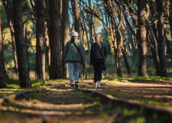Aire libre y bienestar: propuestas gratuitas para disfrutar Necochea en movimiento