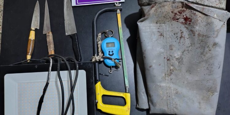 Allanamiento por abigeato en Necochea: secuestran elementos y aprehenden a tres personas