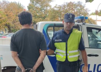 Tres aprehendidos tras intentar robar bolsas de papas en un campo