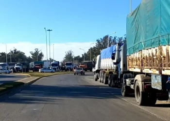 Paro de transportistas en Necochea: el conflicto tarifario paraliza el puerto y pone en jaque a toda la economía local