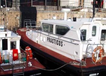 Desregulación y polémica: el Gobierno cambia por decreto el practicaje y redefine el sistema portuario. Sturzenegger eliminó los prácticos de los buques