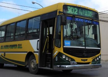 “No pedimos aumento, pedimos cobrar”: choferes iniciaron medidas por salarios adeudados