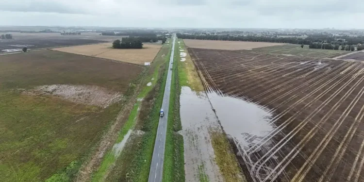 “Va a llevar varios días”: evalúan distintas alternativas para restablecer el tránsito en la Ruta 228