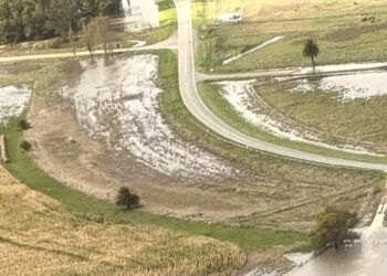 “En tres meses llovió lo de todo un año”: preocupación en el campo por las pérdidas tras el temporal