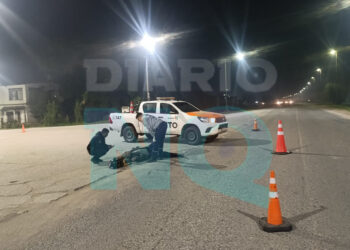 Motociclista hospitalizado tras un choque en Ruta 228 y avenida 74
