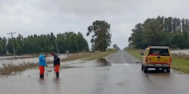 Habilitaron parcialmente el tránsito en la Ruta 228 tras revisar las alcantarillas