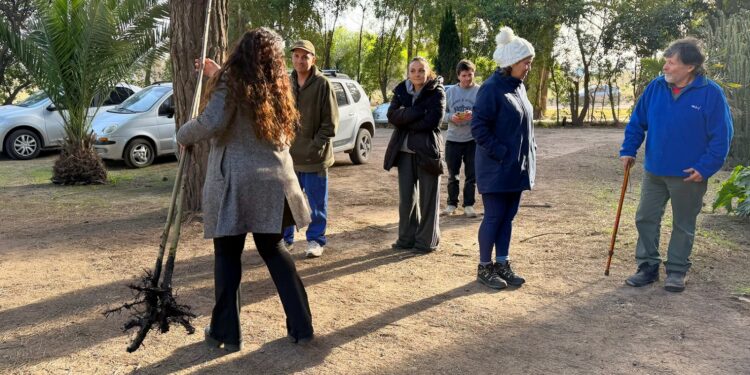 Gran respuesta de los vecinos en el inicio de la entrega gratuita de árboles