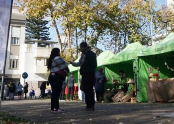 Junio llega con una agenda cargada de eventos para impulsar el turismo y la actividad económica