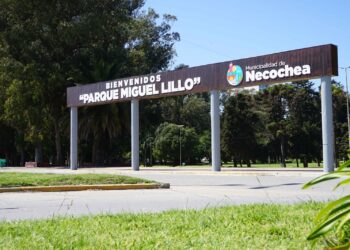 Helados Cyrano invita a una gran jornada de intercambio de figuritas en el Parque Miguel Lillo